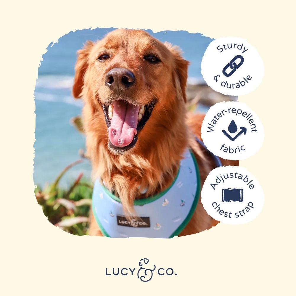 Lucy & Co. Lunar Blue/Gray Dog Harness | size XS - Picture 7 of 10